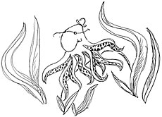 ��� �������� ����� (R.I.P.) �������� ����