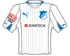 Хоффенхайм Form 2