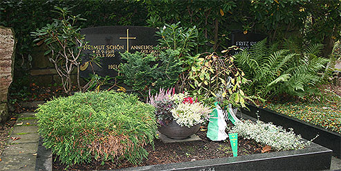 ������ �������� ظ��