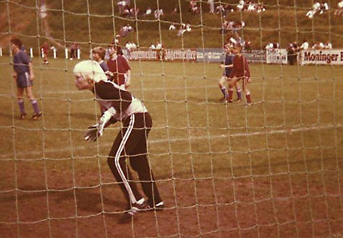 ���� ������ ���