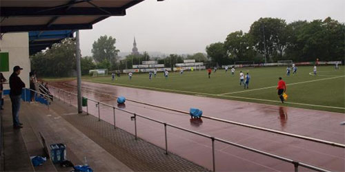 �����������. Im Baumhof